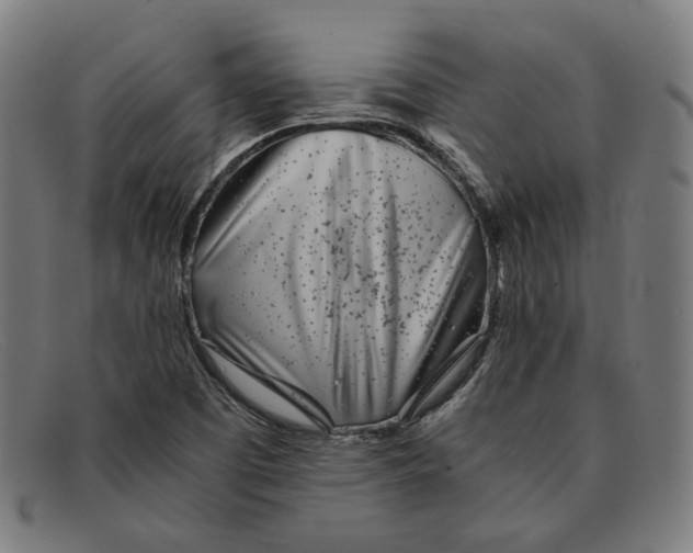 X0000091301457200708311327