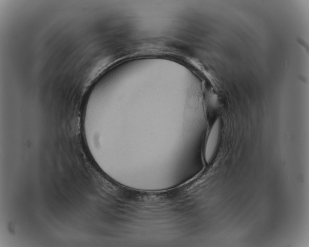 X0000091301459200708311327