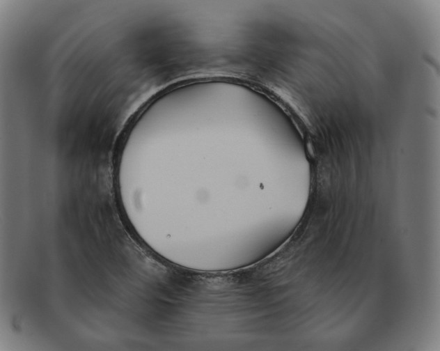 X0000091301460200708311327