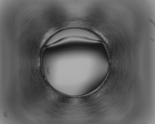 X0000091301461200708311327