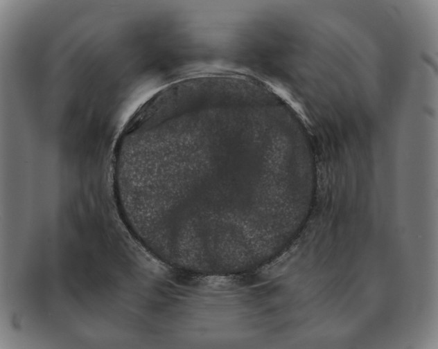 X0000091301463200708311327