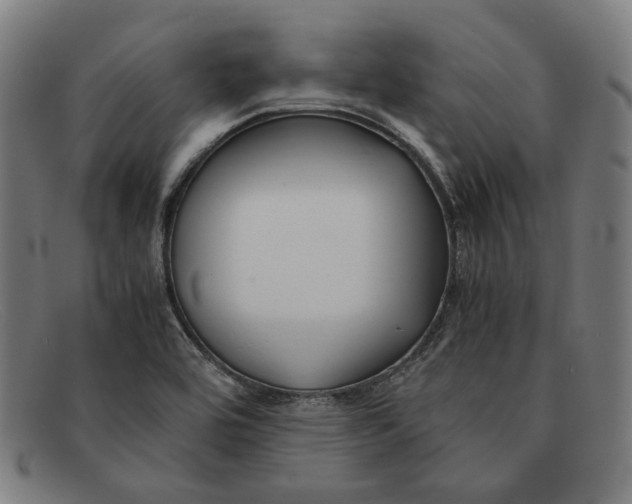 X0000091301464200708311327