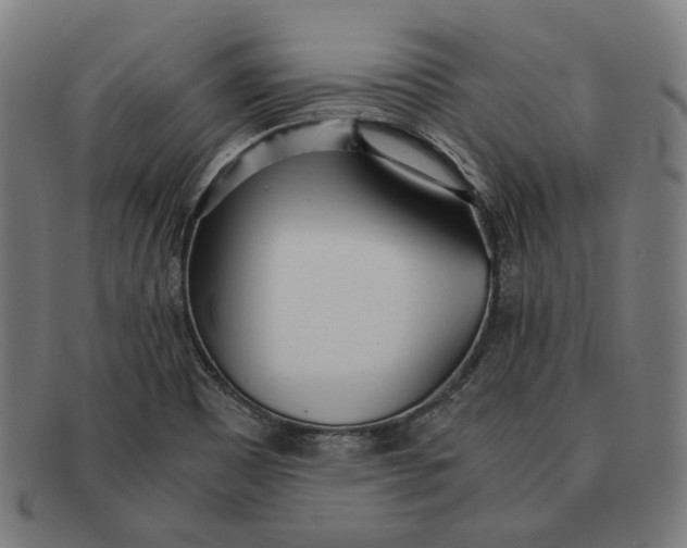 X0000091301465200708311327