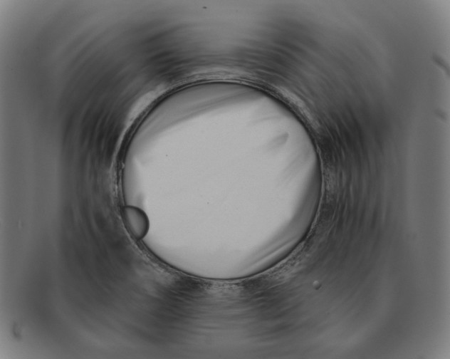 X0000091301466200708311327