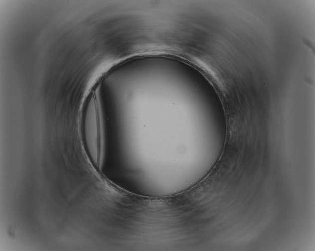 X0000091301472200708311327