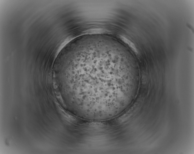 X0000091301473200708311327