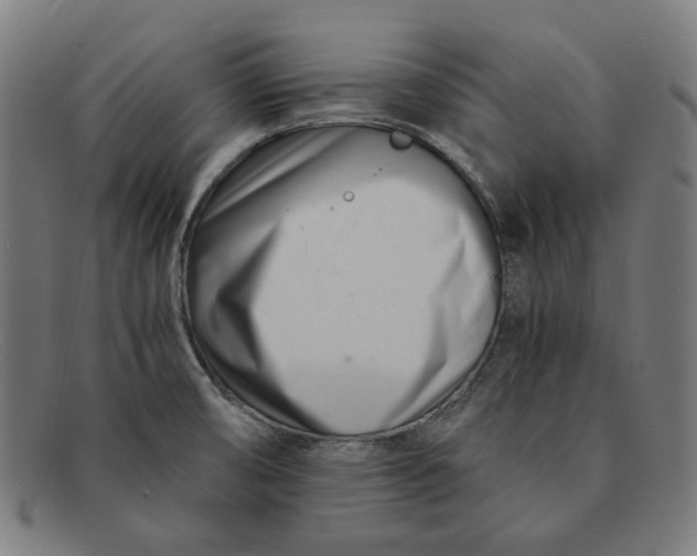 X0000091301474200708311327