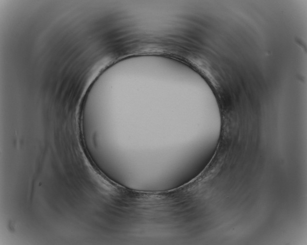 X0000091301475200708311327