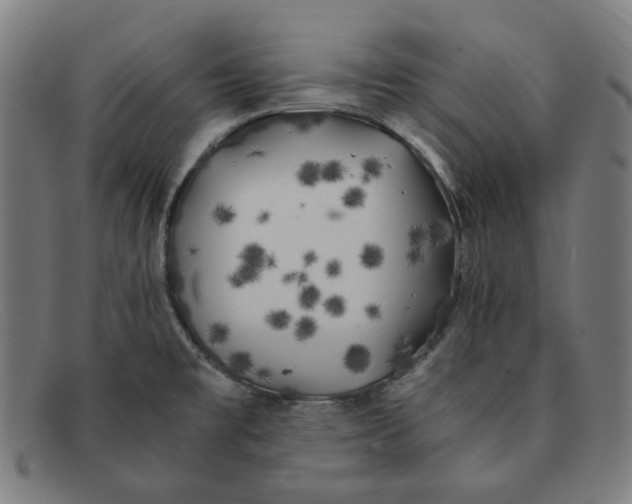 X0000091301477200708311327