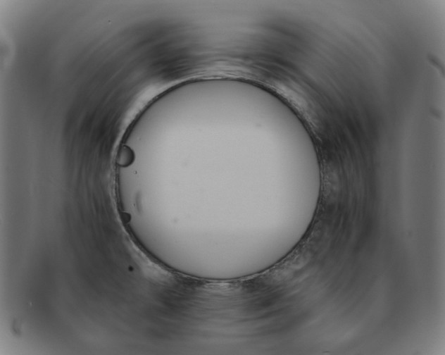 X0000091301478200708311327