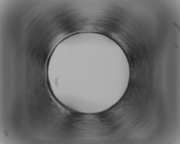 X0000091301479200708311327