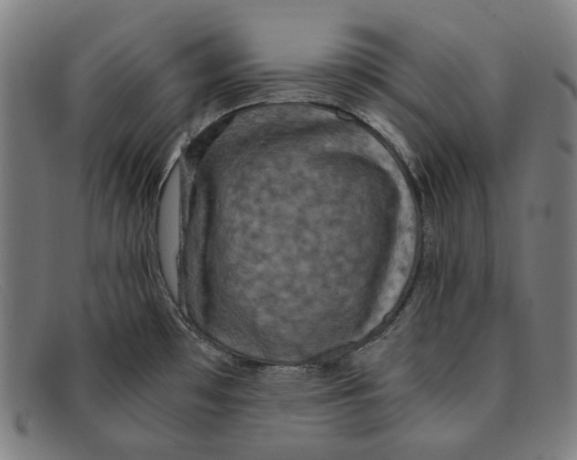 X0000091301481200708311327