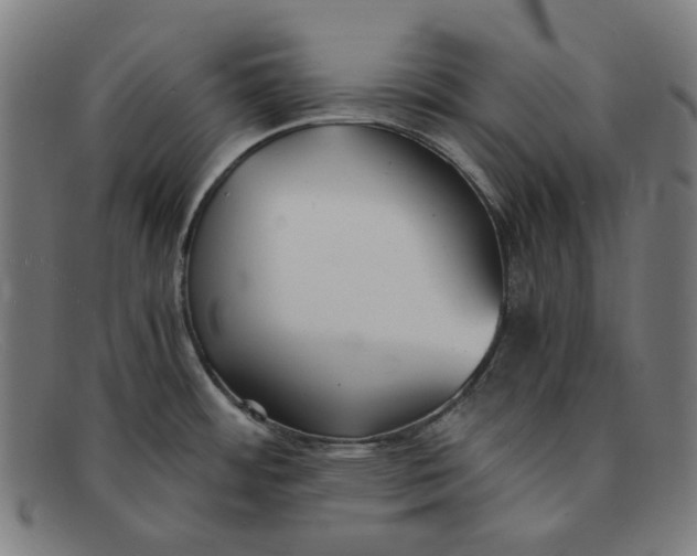 X0000091301484200708311327