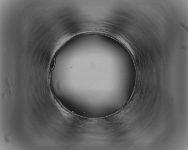 X0000091301485200708311327