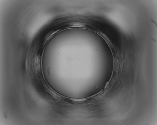 X0000091301487200708311327