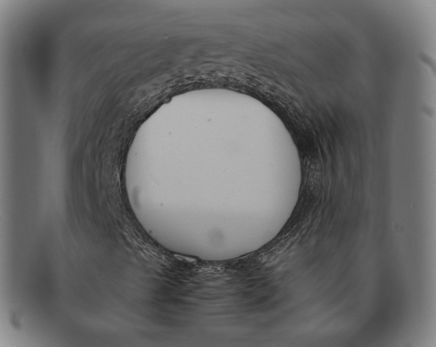 X0000091301489200708311326