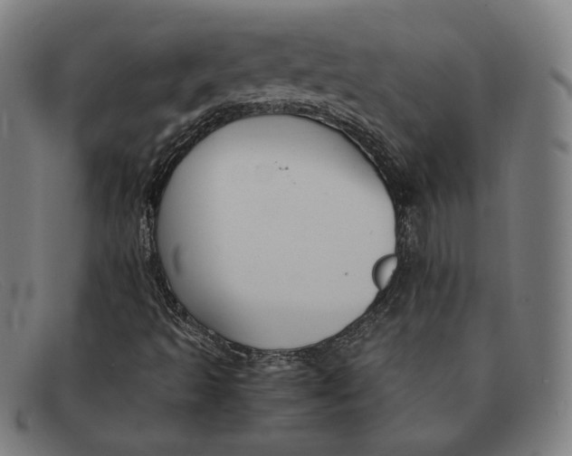 X0000091301493200708311326