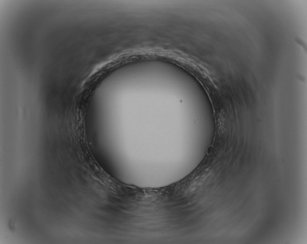 X0000091301494200708311326