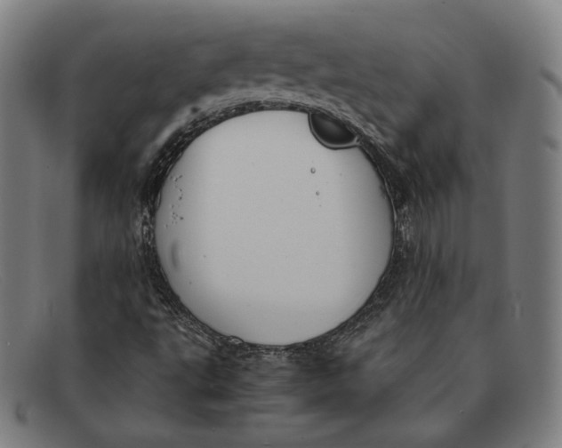 X0000091301495200708311326