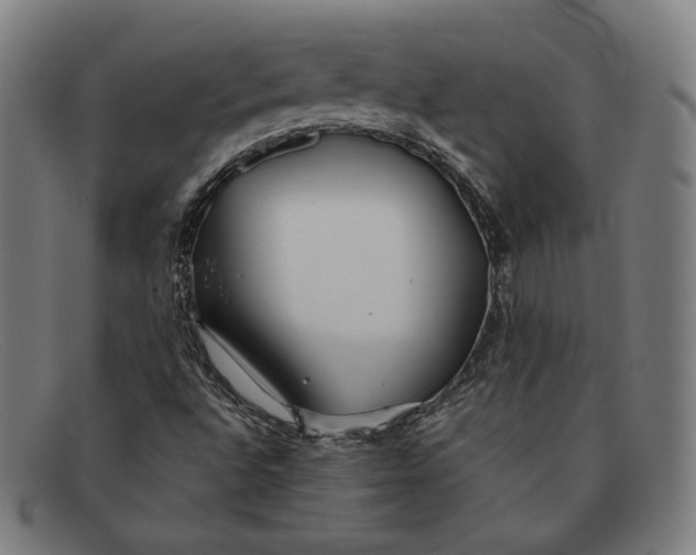 X0000091301496200708311327