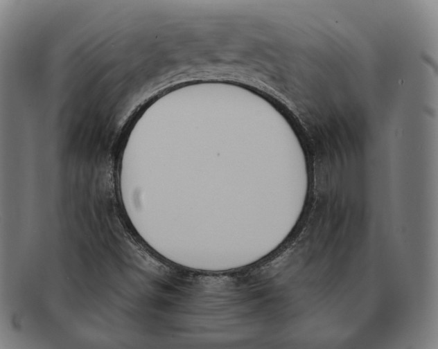 X0000091301498200708311327