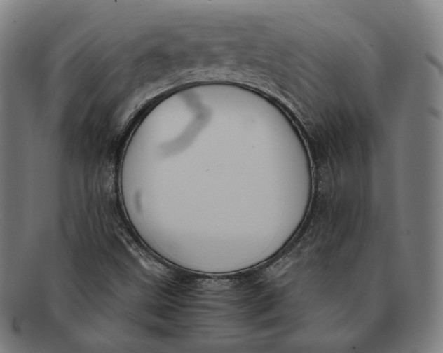 X0000091301499200708311327