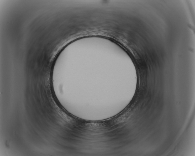 X0000091301500200708311327