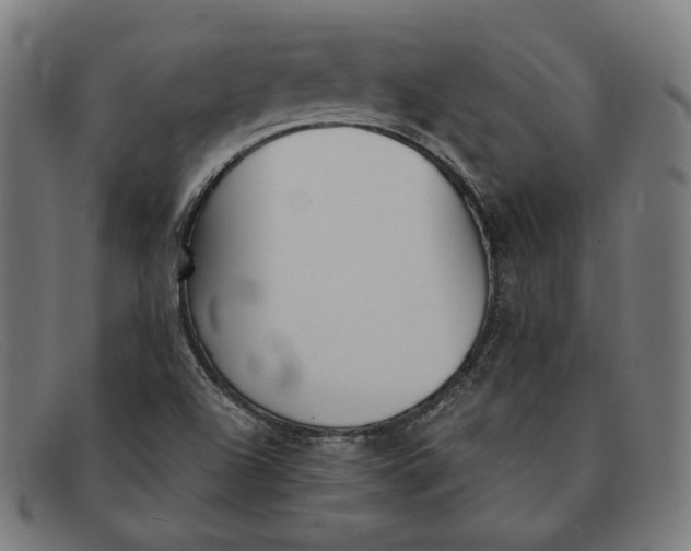 X0000091301504200708311327