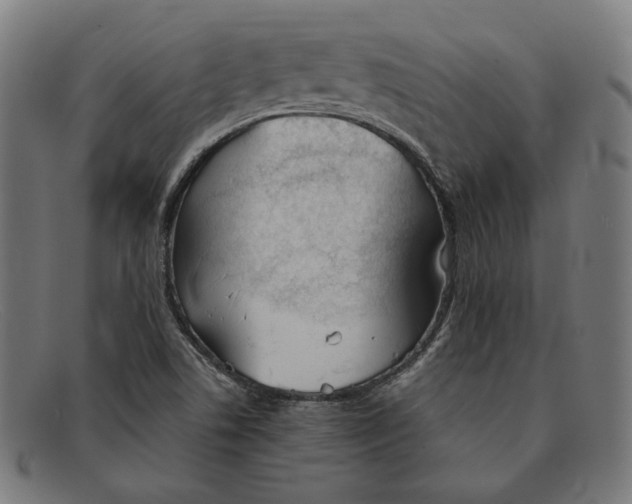 X0000091301506200708311327