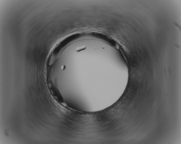 X0000091301508200708311327