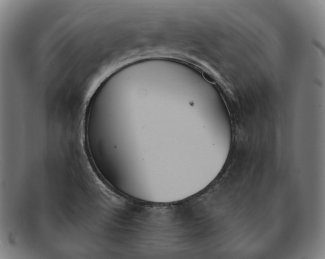 X0000091301512200708311327