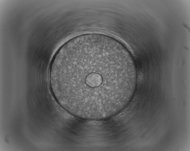 X0000091301514200708311327