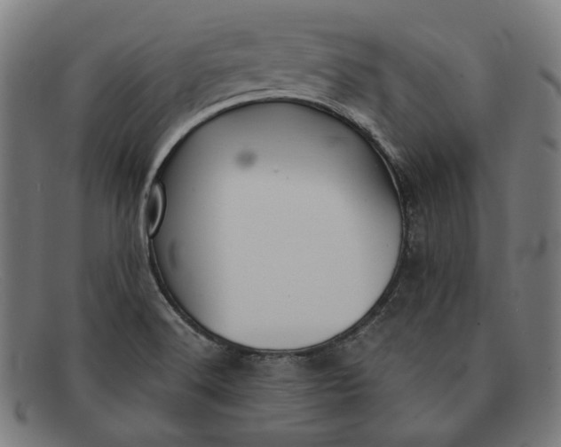 X0000091301516200708311327