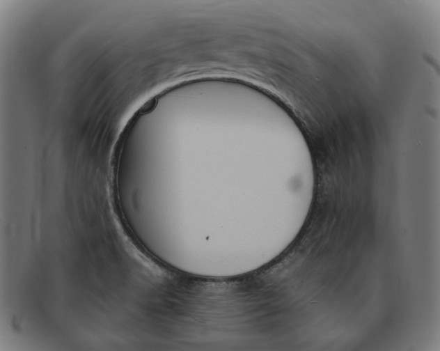 X0000091301518200708311327