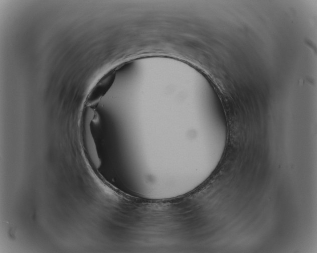 X0000091301519200708311327