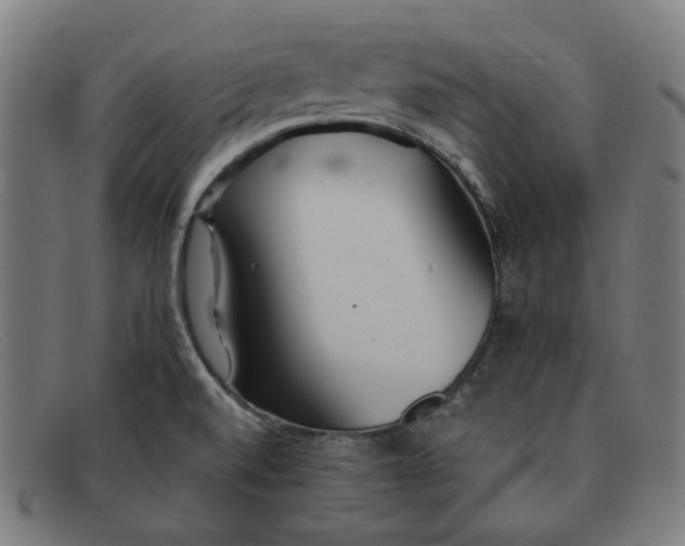 X0000091301520200708311327