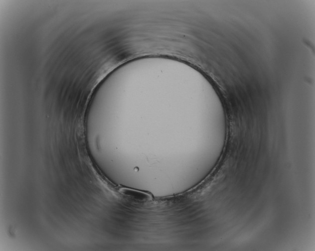 X0000091301521200708311327