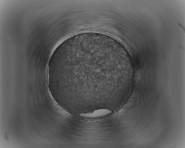 X0000091301522200708311327