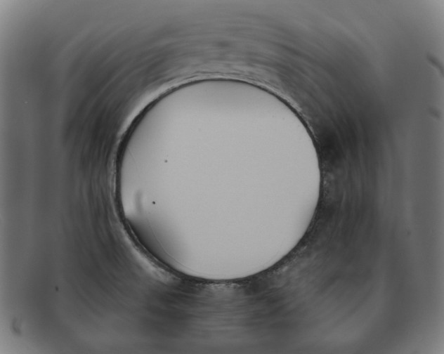 X0000091301523200708311327