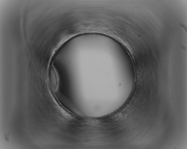 X0000091301525200708311327