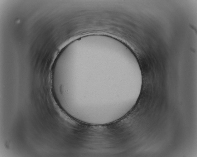 X0000091301526200708311327