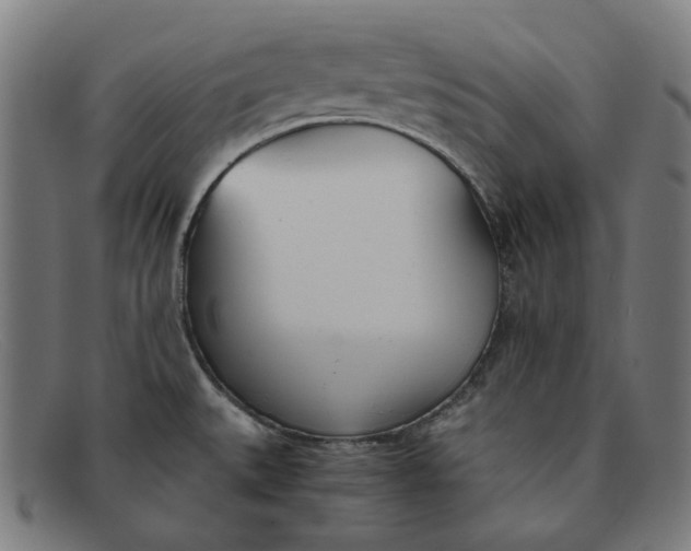 X0000091301527200708311327