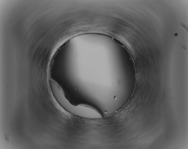 X0000091301528200708311327