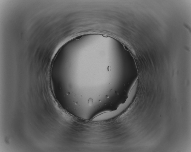 X0000091301530200708311327