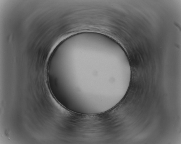 X0000091301531200708311327