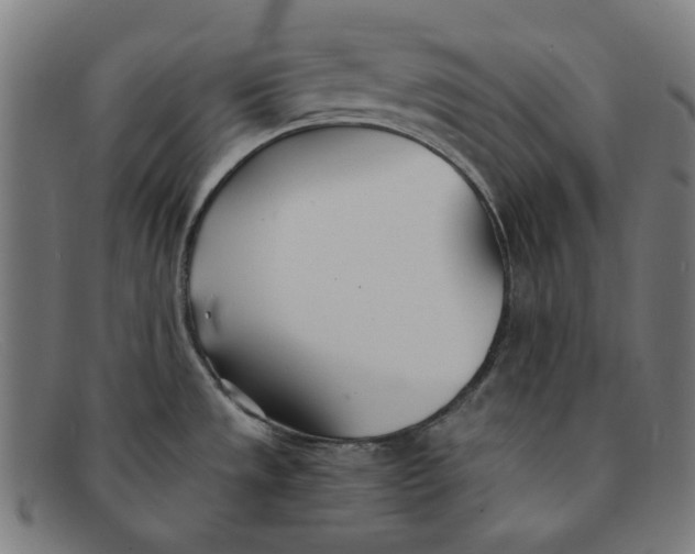 X0000091301533200708311327