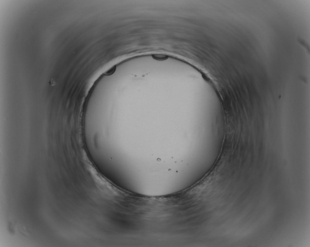 X0000091301534200708311327