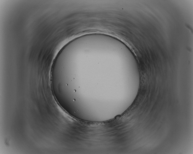 X0000091301535200708311327