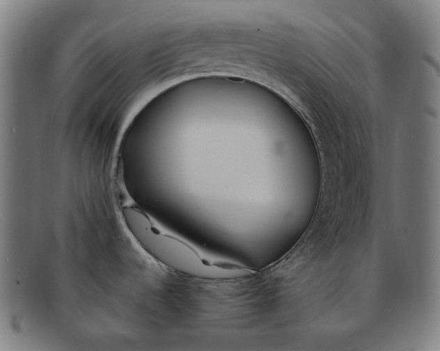 X0000091301536200708311327