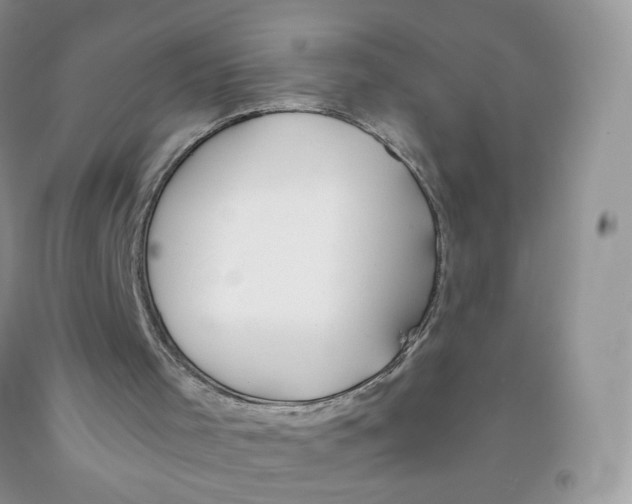 X0000091300001200709071103